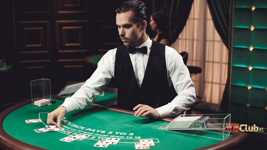 Người chia bài trong casino gọi là gì Người chia bài trong casino gọi là gì